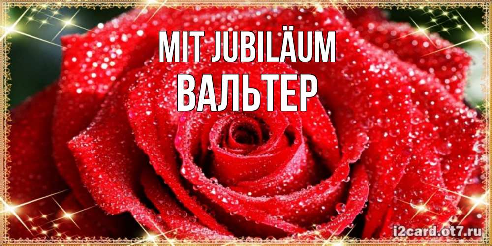 Открытка на каждый день с именем, Вальтер Mit Jubiläum роса и роза. открытка с красивой розой Прикольная открытка с пожеланием онлайн скачать бесплатно 