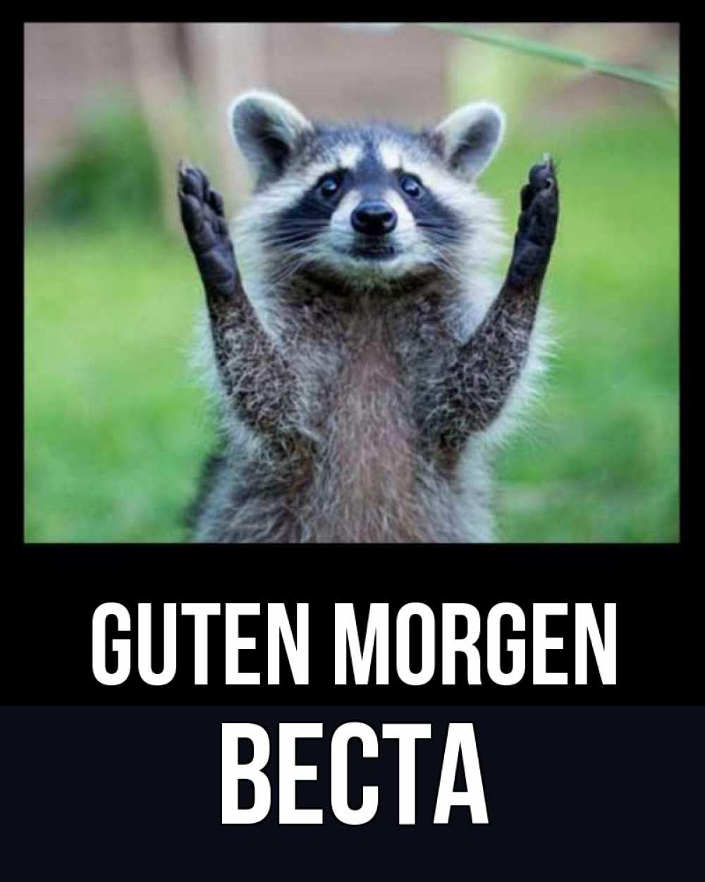 Открытка на каждый день с именем, Веста Guten Morgen хорошее настроение утречком Прикольная открытка с пожеланием онлайн скачать бесплатно 