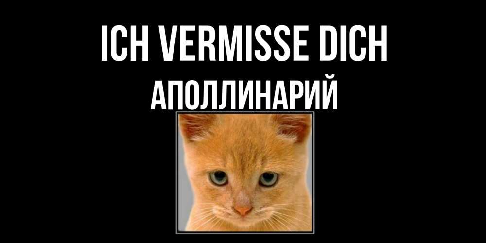 Открытка на каждый день с именем, Аполлинарий Ich vermisse dich открытки рыжий котенок скучает по тебе Прикольная открытка с пожеланием онлайн скачать бесплатно 