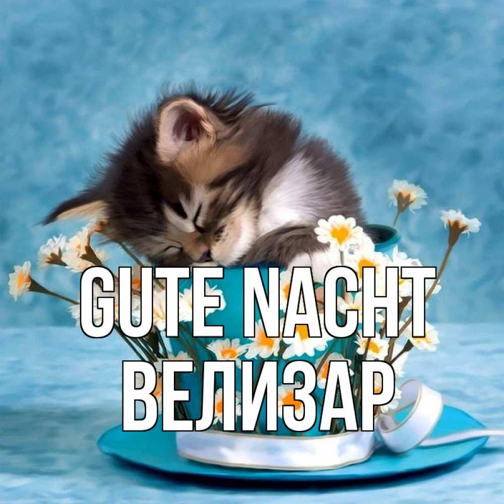 Открытка на каждый день с именем, Велизар Gute Nacht котенок спит в кружке с блюдцем Прикольная открытка с пожеланием онлайн скачать бесплатно 