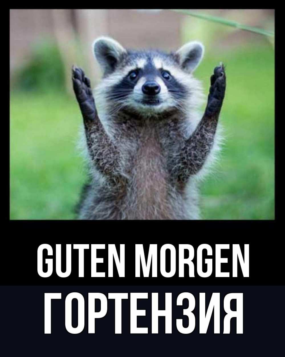 Открытка на каждый день с именем, Гортензия Guten Morgen хорошее настроение утречком Прикольная открытка с пожеланием онлайн скачать бесплатно 