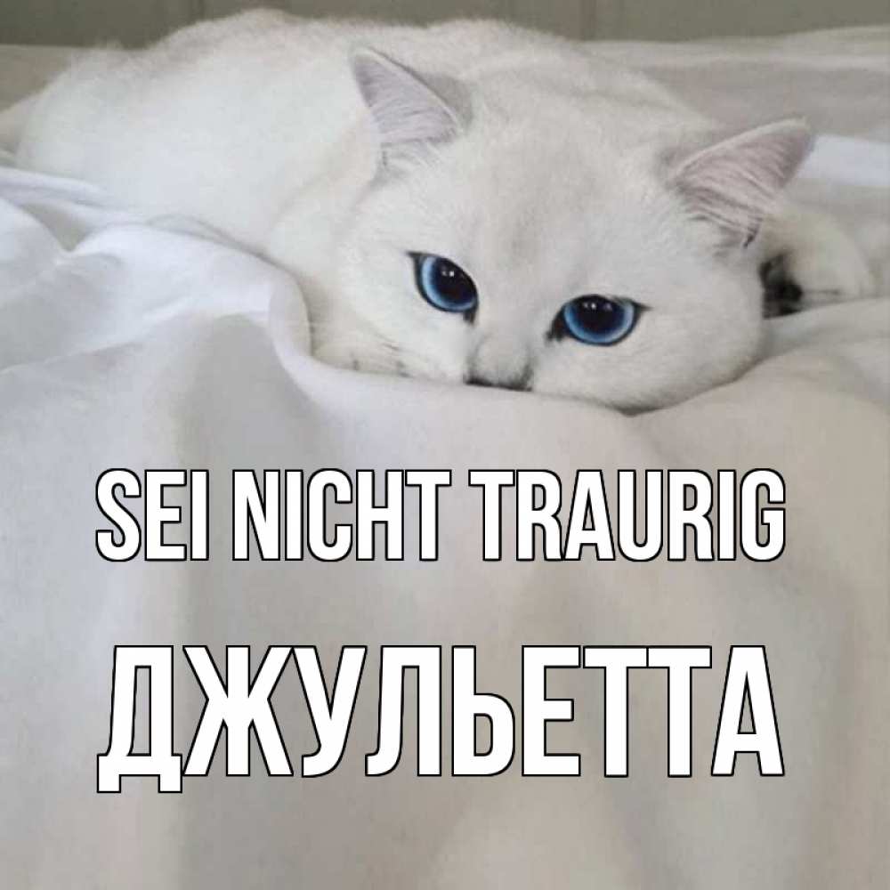 Открытка на каждый день с именем, Джульетта Sei nicht traurig белый кот с голубыми глазами на белоснежной кровати Прикольная открытка с пожеланием онлайн скачать бесплатно 