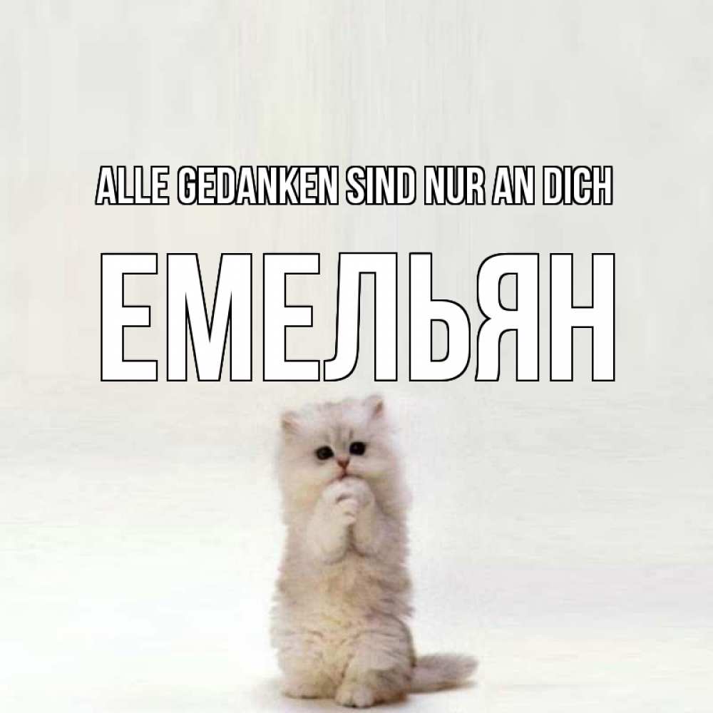 Открытка на каждый день с именем, Емельян Alle Gedanken sind nur an dich кот стоит на задних лапах Прикольная открытка с пожеланием онлайн скачать бесплатно 