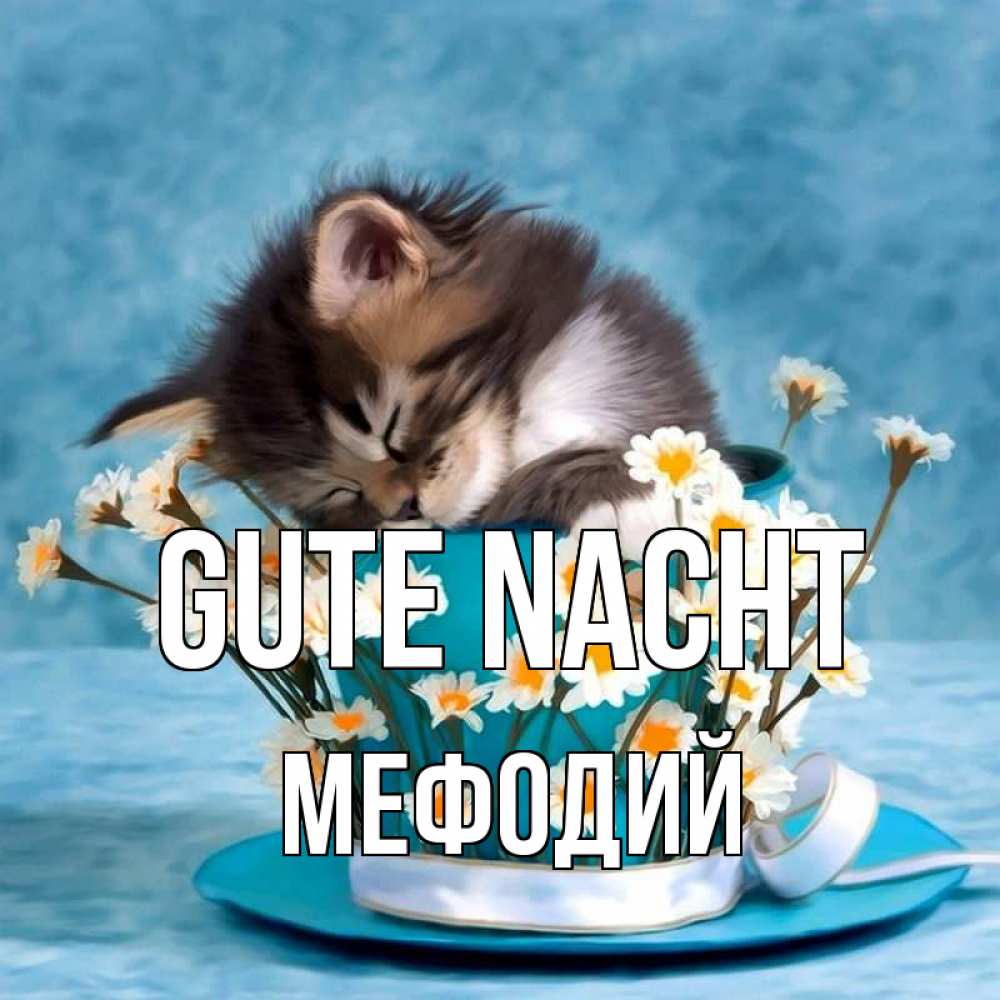 Открытка на каждый день с именем, Мефодий Gute Nacht котенок спит в кружке с блюдцем Прикольная открытка с пожеланием онлайн скачать бесплатно 