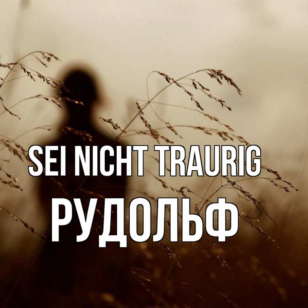 Открытка на каждый день с именем, Рудольф Sei nicht traurig грусть Прикольная открытка с пожеланием онлайн скачать бесплатно 