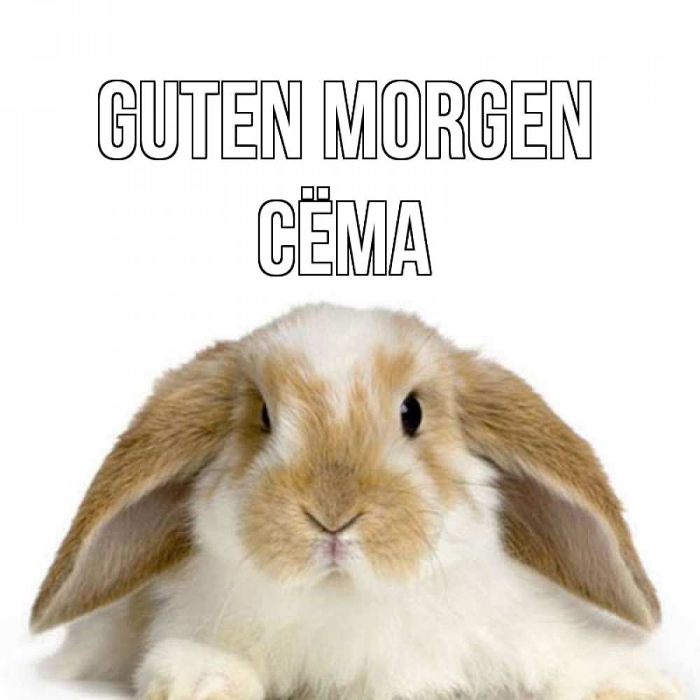 Открытка на каждый день с именем, Сёма Guten Morgen прикольные открытки на каждый день Прикольная открытка с пожеланием онлайн скачать бесплатно 