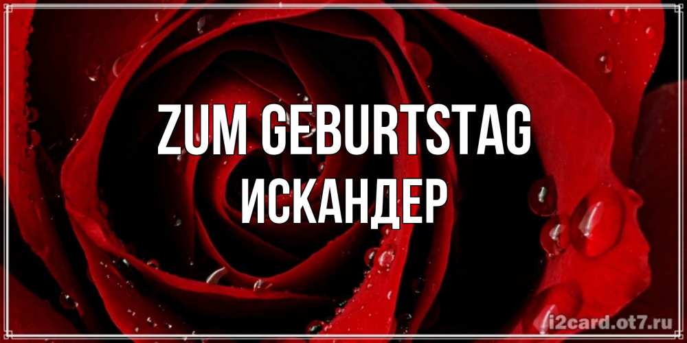 Открытка на каждый день с именем, Искандер Zum Geburtstag крупная бордовая роза Прикольная открытка с пожеланием онлайн скачать бесплатно 