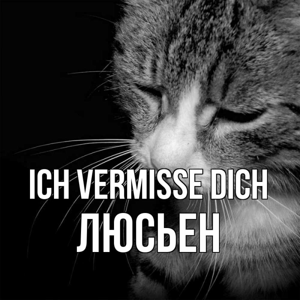 Открытка на каждый день с именем, Люсьен Ich vermisse dich мне скучно Прикольная открытка с пожеланием онлайн скачать бесплатно 