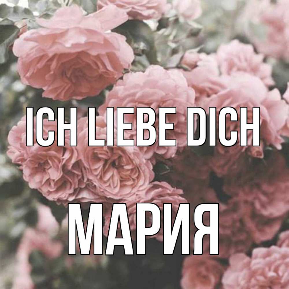 Открытка на каждый день с именем, Мария Ich liebe dich розы 3 Прикольная открытка с пожеланием онлайн скачать бесплатно 