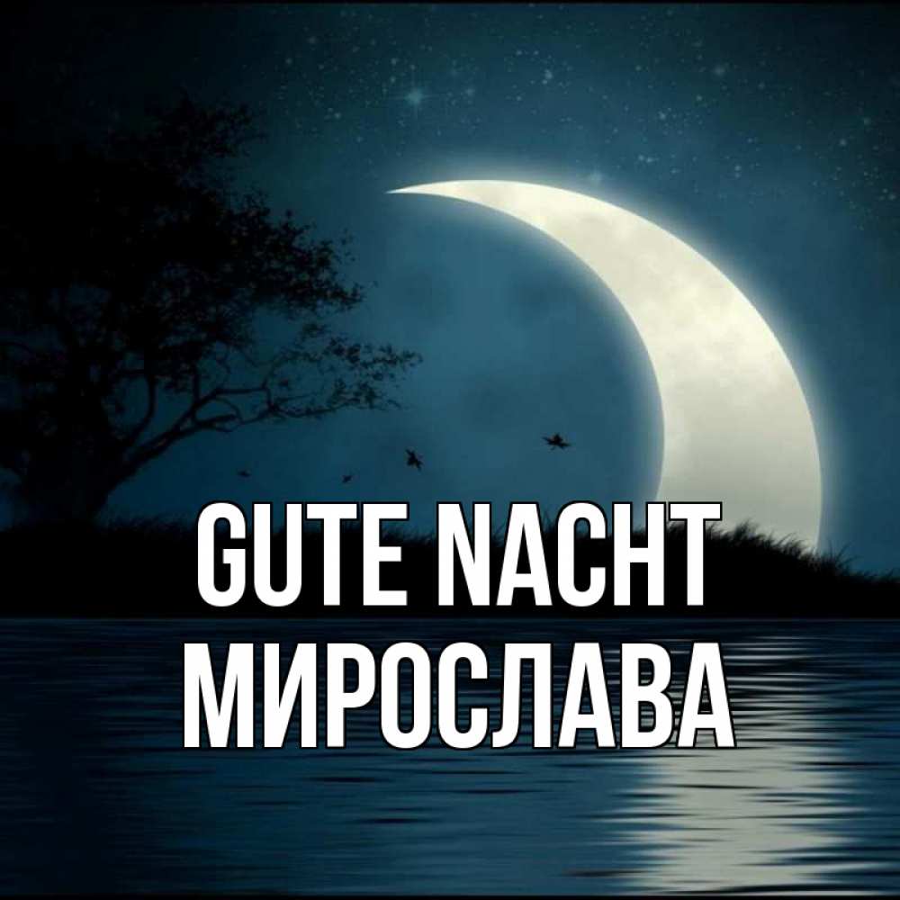 Открытка на каждый день с именем, Мирослава Gute Nacht вода Прикольная открытка с пожеланием онлайн скачать бесплатно 