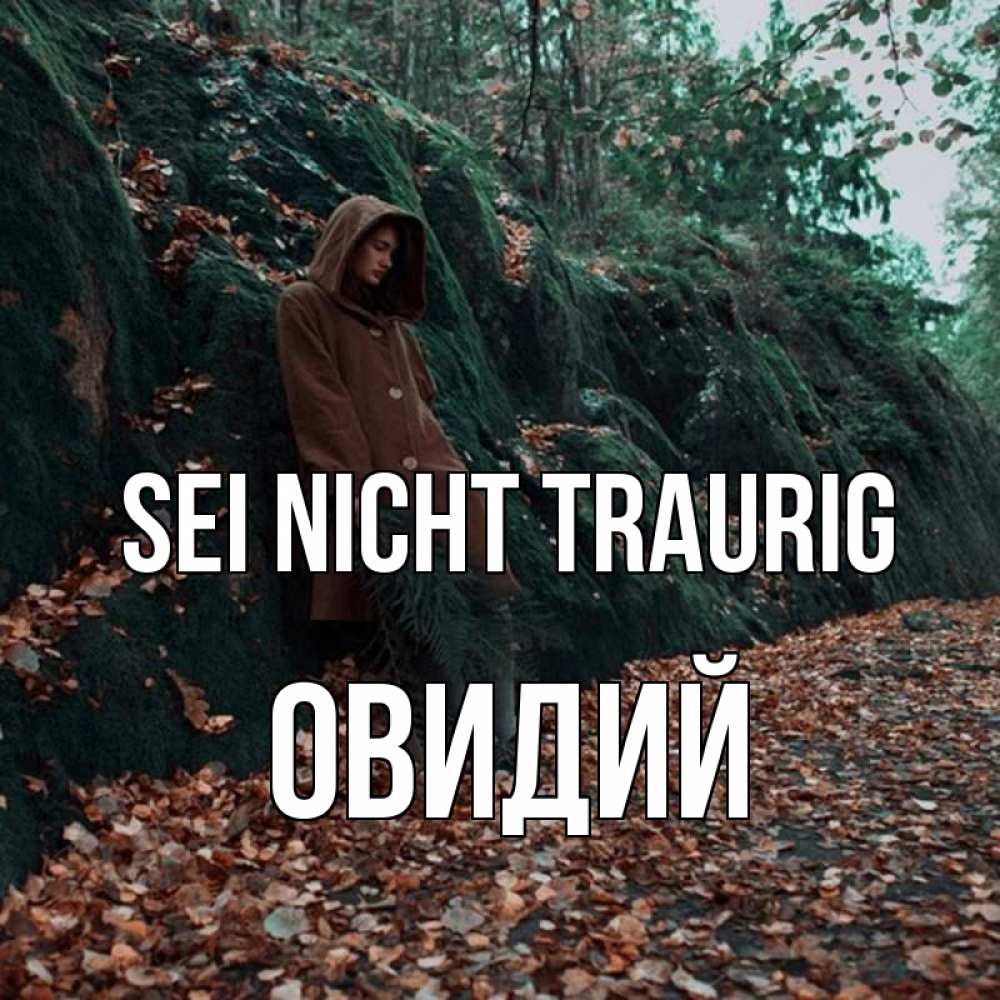 Открытка на каждый день с именем, Овидий Sei nicht traurig осенний лес Прикольная открытка с пожеланием онлайн скачать бесплатно 