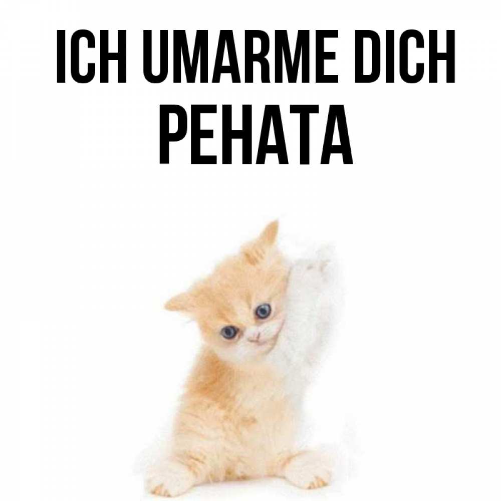 Открытка на каждый день с именем, Рената Ich umarme dich я хочу очень скорее обнимаешек Прикольная открытка с пожеланием онлайн скачать бесплатно 
