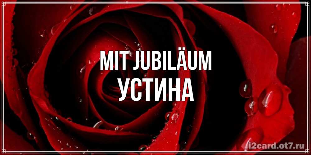 Открытка на каждый день с именем, Устина Mit Jubiläum крупная бордовая роза Прикольная открытка с пожеланием онлайн скачать бесплатно 