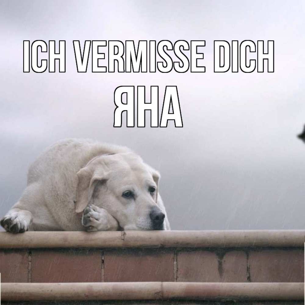 Открытка на каждый день с именем, Яна Ich vermisse dich ждет Прикольная открытка с пожеланием онлайн скачать бесплатно 