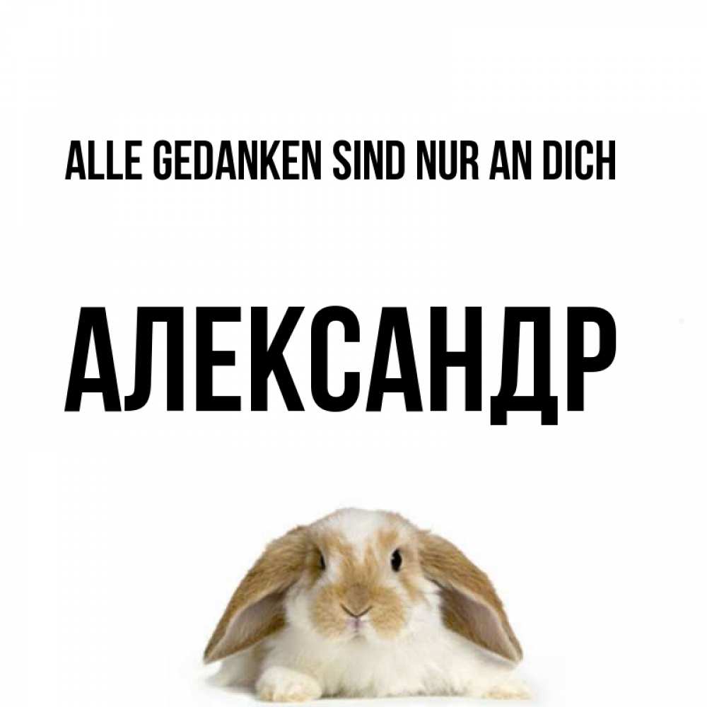 Открытка на каждый день с именем, Александр Alle Gedanken sind nur an dich подписать своими руками онлайн Прикольная открытка с пожеланием онлайн скачать бесплатно 