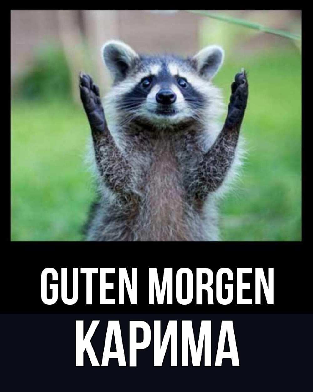 Открытка на каждый день с именем, Карима Guten Morgen хорошее настроение утречком Прикольная открытка с пожеланием онлайн скачать бесплатно 