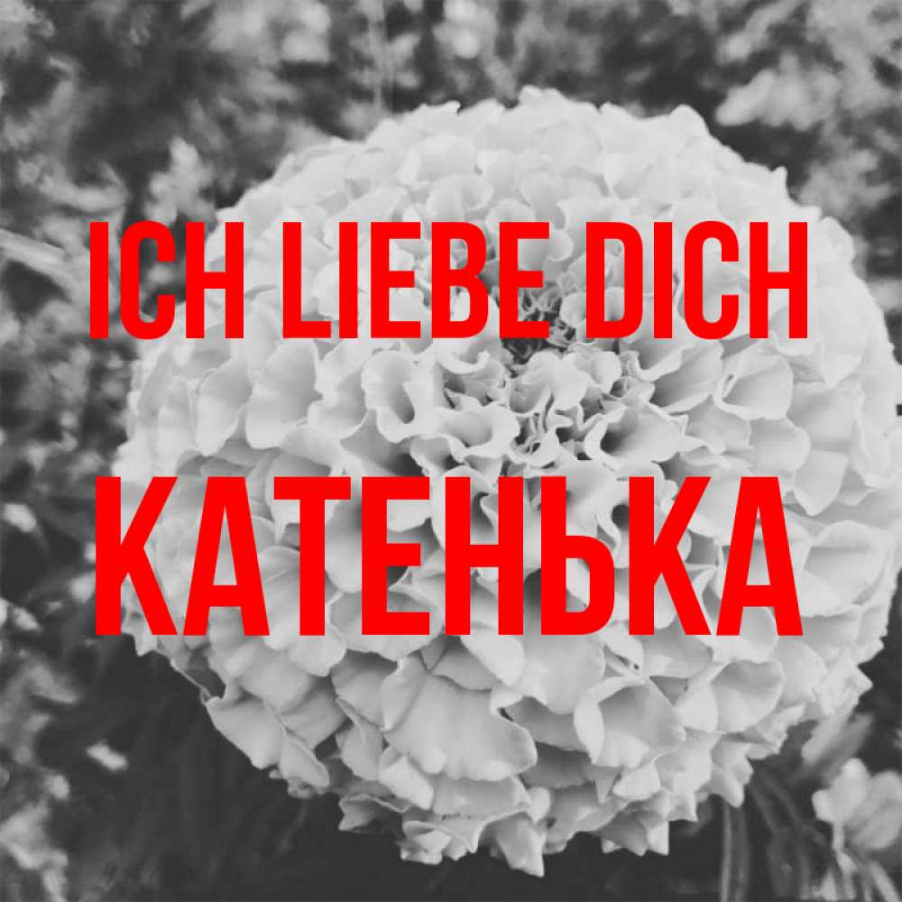 Открытка на каждый день с именем, Катенька Ich liebe dich подпись Прикольная открытка с пожеланием онлайн скачать бесплатно 