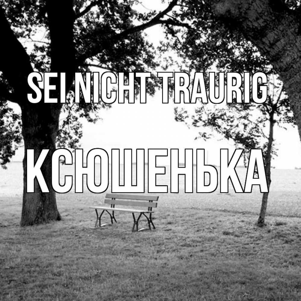 Открытка на каждый день с именем, Ксюшенька Sei nicht traurig мощное дерево Прикольная открытка с пожеланием онлайн скачать бесплатно 