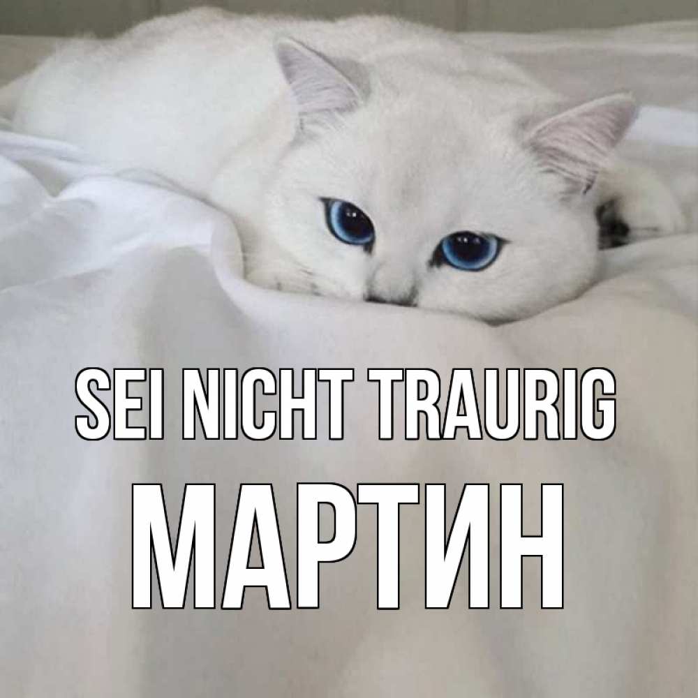 Открытка на каждый день с именем, Мартин Sei nicht traurig белый кот с голубыми глазами на белоснежной кровати Прикольная открытка с пожеланием онлайн скачать бесплатно 