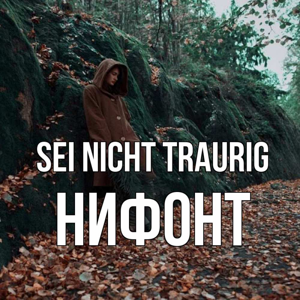 Открытка на каждый день с именем, Нифонт Sei nicht traurig осенний лес Прикольная открытка с пожеланием онлайн скачать бесплатно 