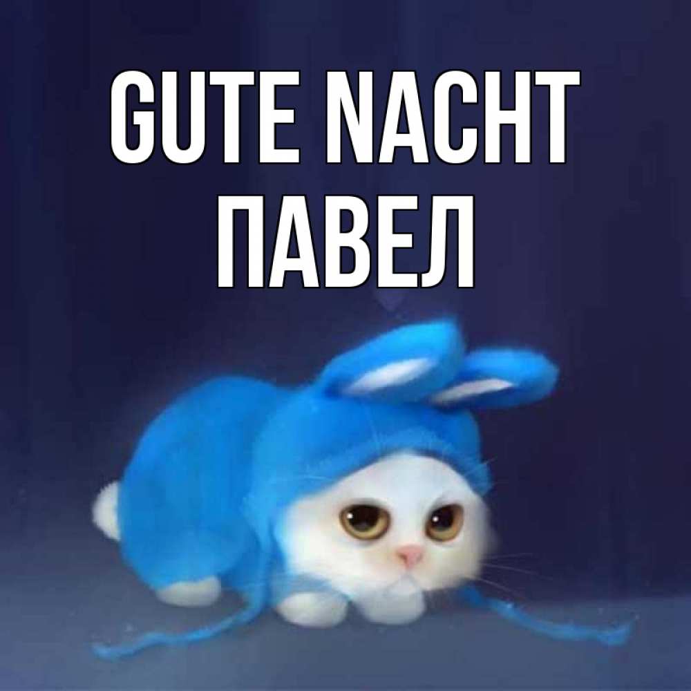 Открытка на каждый день с именем, Павел Gute Nacht кот в голубом костюме кролика с ушками Прикольная открытка с пожеланием онлайн скачать бесплатно 