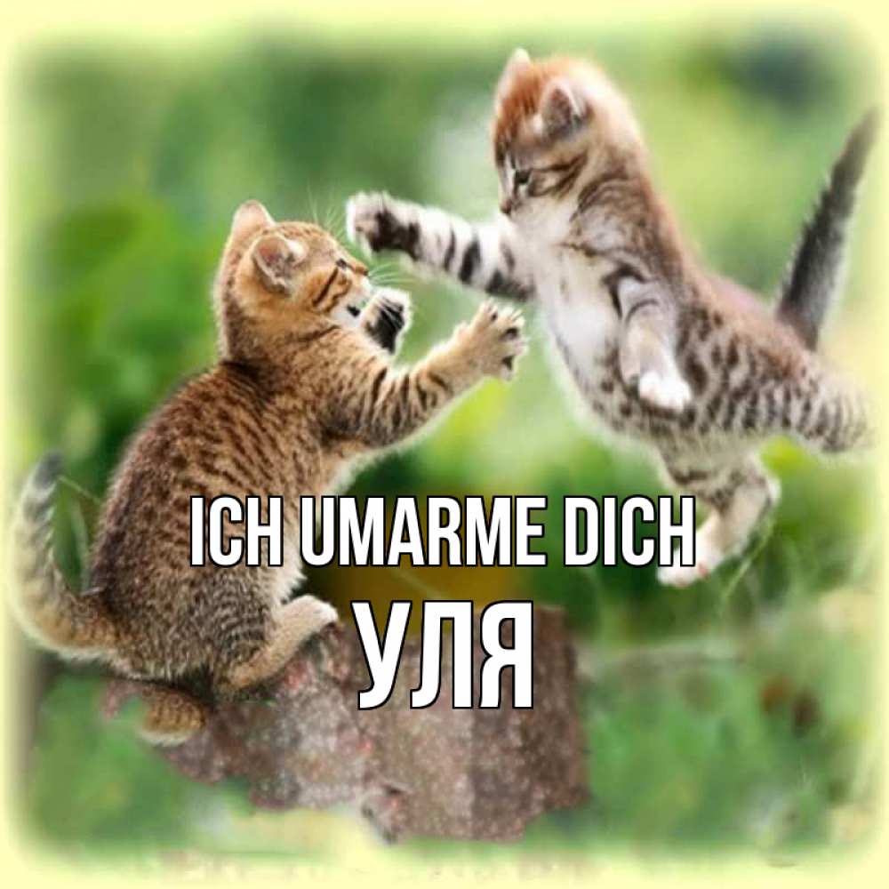Открытка на каждый день с именем, Уля Ich umarme dich игры котят Прикольная открытка с пожеланием онлайн скачать бесплатно 
