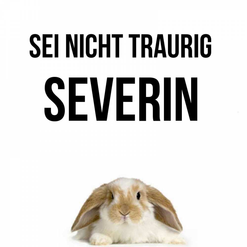 Открытка на каждый день с именем, Severin Sei nicht traurig коричнево белый заяц с большими ушками Прикольная открытка с пожеланием онлайн скачать бесплатно 