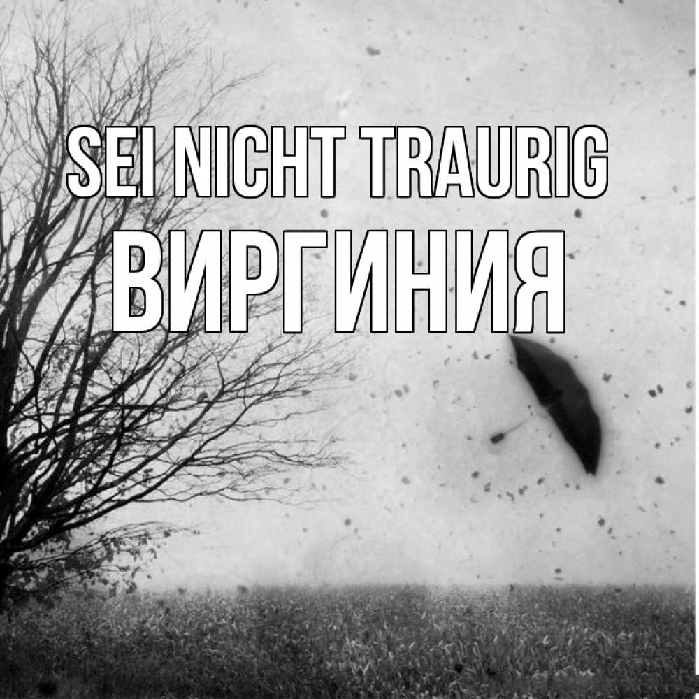 Открытка на каждый день с именем, Виргиния Sei nicht traurig летящий зонтик Прикольная открытка с пожеланием онлайн скачать бесплатно 