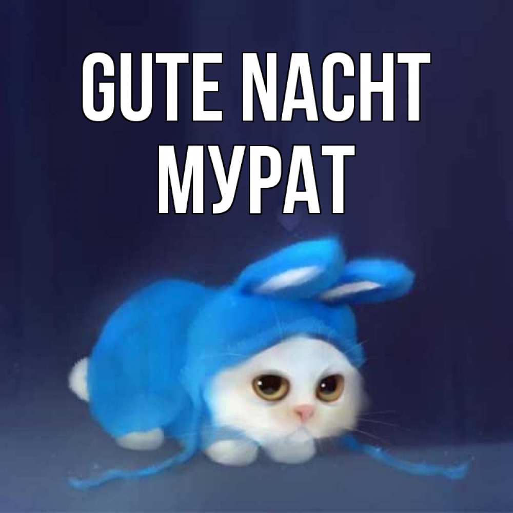Открытка на каждый день с именем, Мурат Gute Nacht кот в голубом костюме кролика с ушками Прикольная открытка с пожеланием онлайн скачать бесплатно 