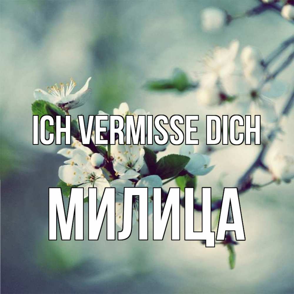 Открытка на каждый день с именем, Милица Ich vermisse dich весна Прикольная открытка с пожеланием онлайн скачать бесплатно 