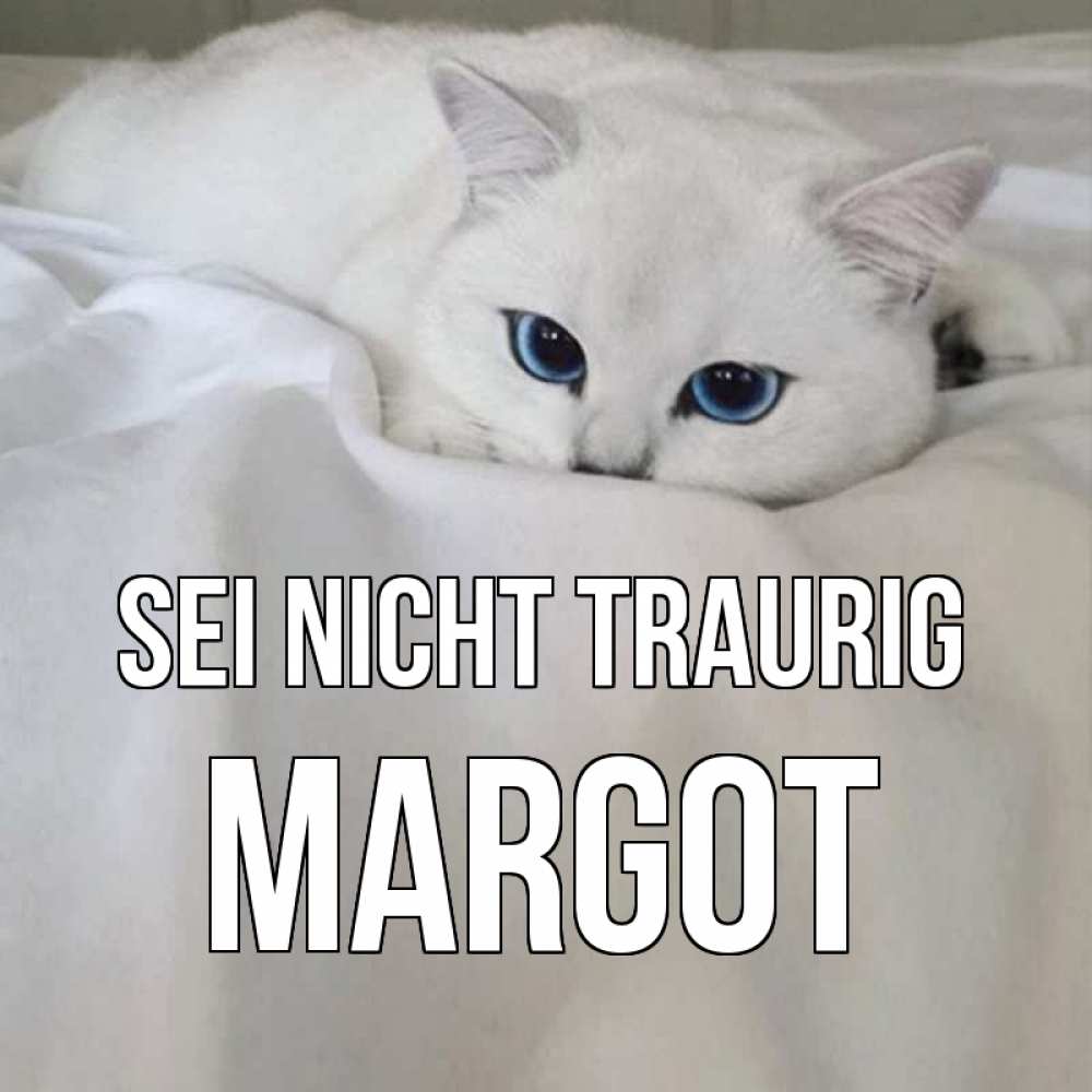 Открытка на каждый день с именем, Margot Sei nicht traurig белый кот с голубыми глазами на белоснежной кровати Прикольная открытка с пожеланием онлайн скачать бесплатно 