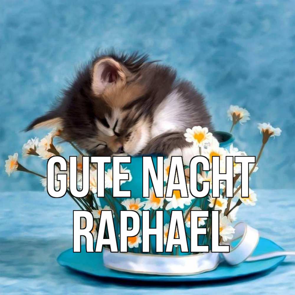 Открытка на каждый день с именем, Raphael Gute Nacht котенок спит в кружке с блюдцем Прикольная открытка с пожеланием онлайн скачать бесплатно 