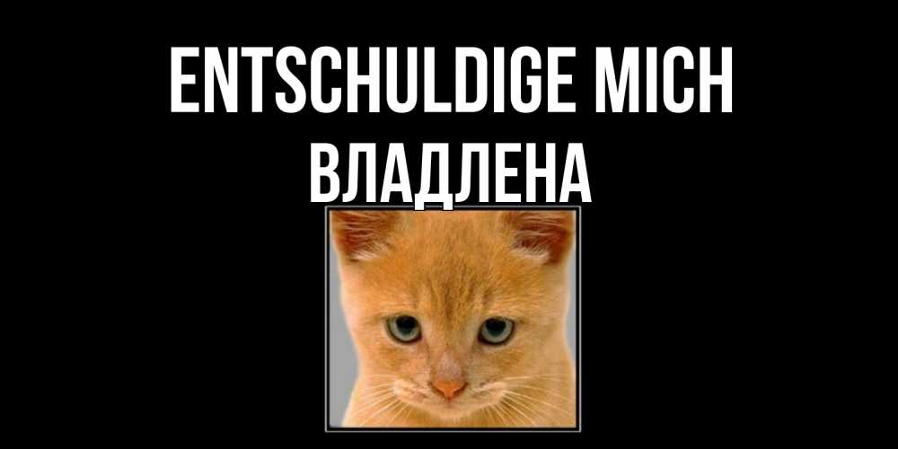 Открытка на каждый день с именем, Владлена Entschuldige mich рыжий грустный кот просит прощения Прикольная открытка с пожеланием онлайн скачать бесплатно 