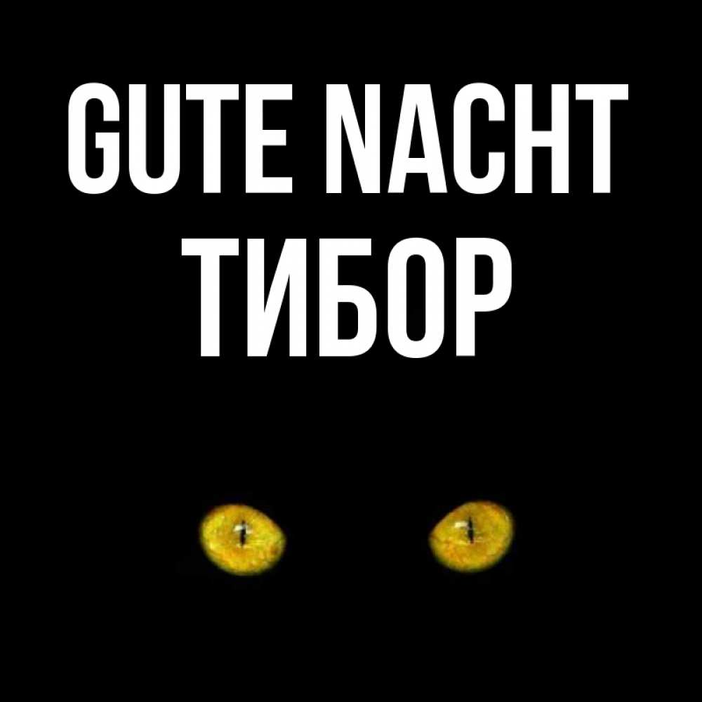 Открытка на каждый день с именем, Тибор Gute Nacht сладких снов бесстрашный мой дружочек Прикольная открытка с пожеланием онлайн скачать бесплатно 