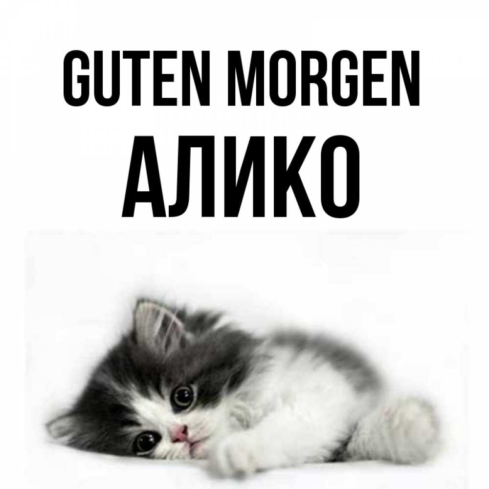 Открытка на каждый день с именем, Алико Guten Morgen кот лапки Прикольная открытка с пожеланием онлайн скачать бесплатно 