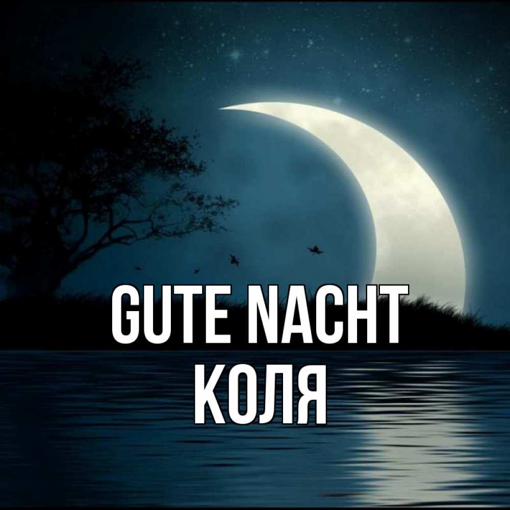 Открытка на каждый день с именем, Коля Gute Nacht вода Прикольная открытка с пожеланием онлайн скачать бесплатно 