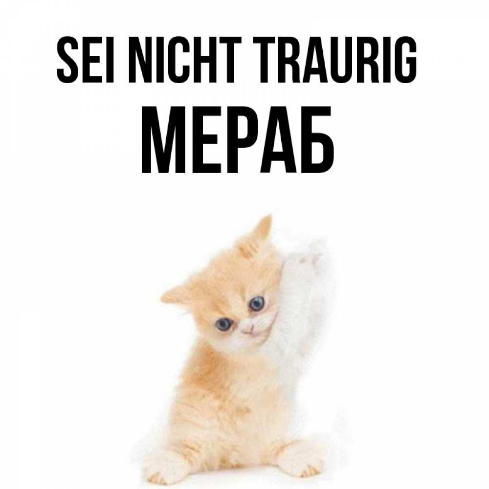 Открытка на каждый день с именем, Мераб Sei nicht traurig просящий кот Прикольная открытка с пожеланием онлайн скачать бесплатно 