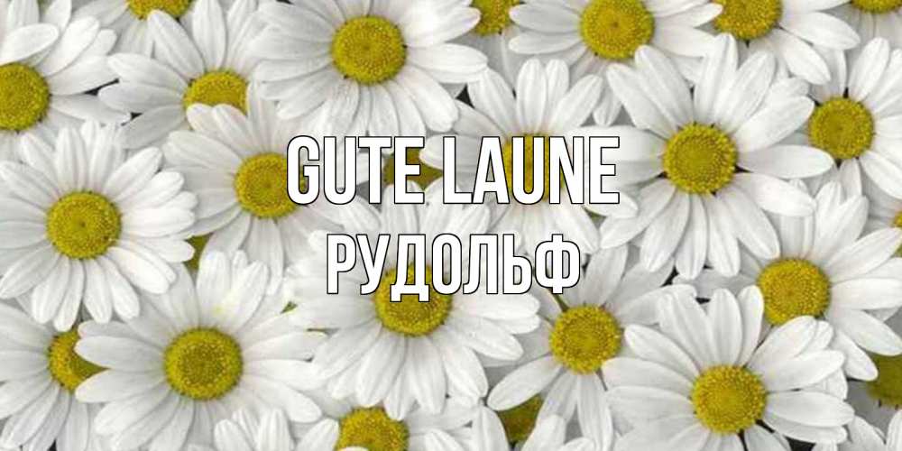 Открытка на каждый день с именем, Рудольф Gute Laune поляна ромашек Прикольная открытка с пожеланием онлайн скачать бесплатно 
