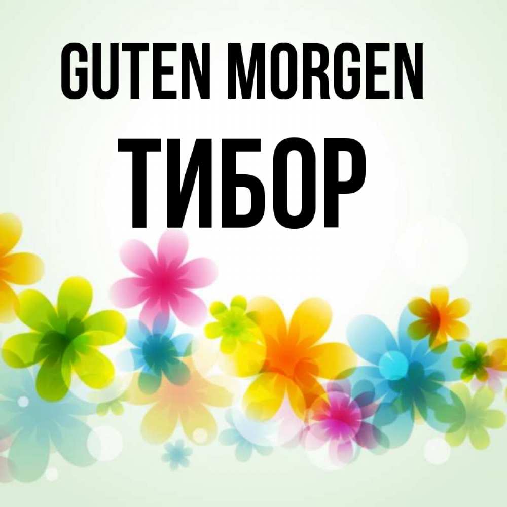 Открытка на каждый день с именем, Тибор Guten Morgen позитивные цветочки Прикольная открытка с пожеланием онлайн скачать бесплатно 