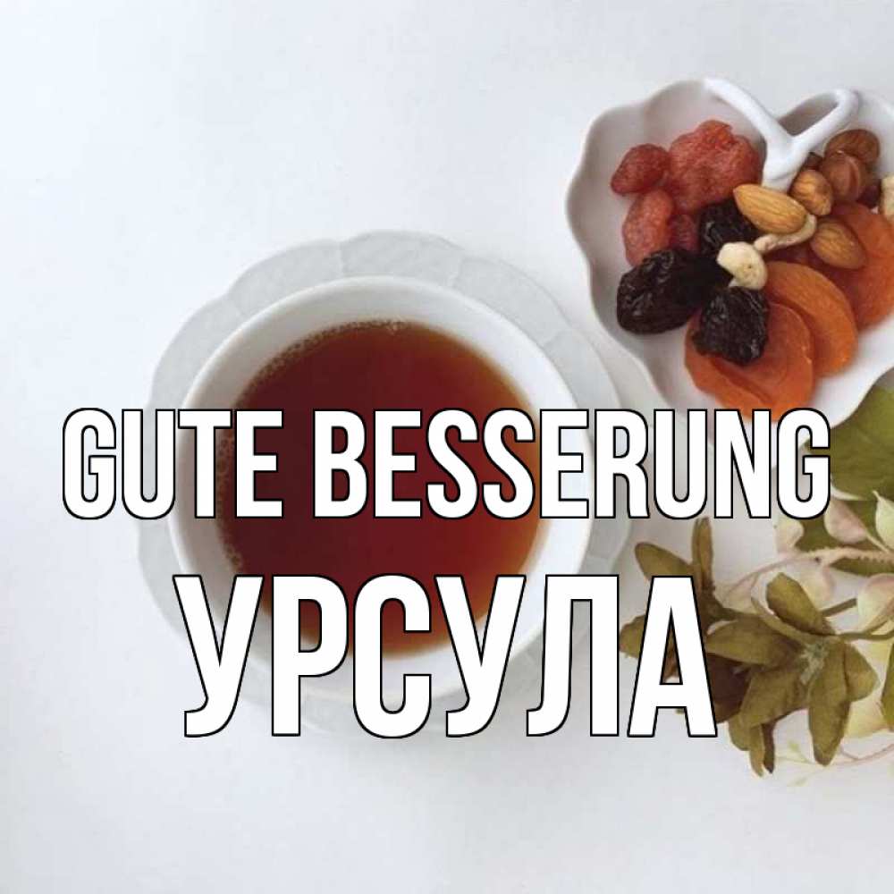 Открытка на каждый день с именем, Урсула Gute Besserung неизвестные растения Прикольная открытка с пожеланием онлайн скачать бесплатно 