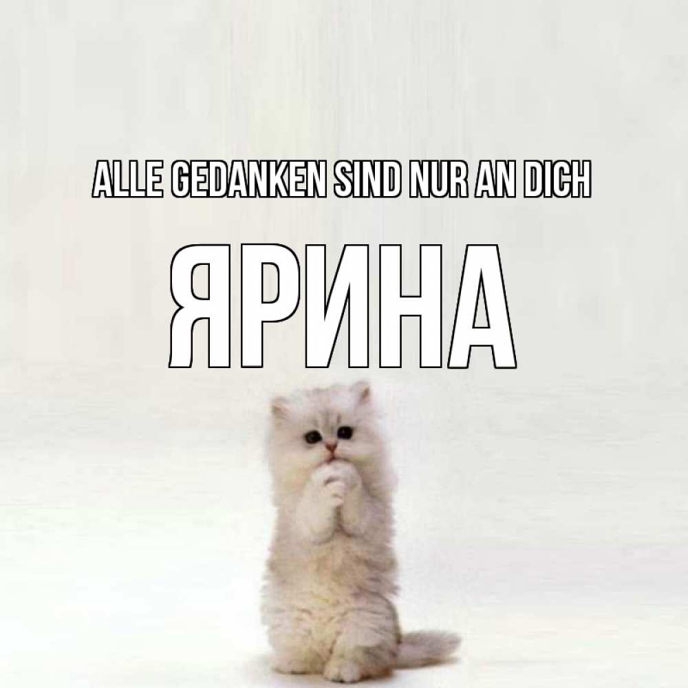 Открытка на каждый день с именем, Ярина Alle Gedanken sind nur an dich кот стоит на задних лапах Прикольная открытка с пожеланием онлайн скачать бесплатно 