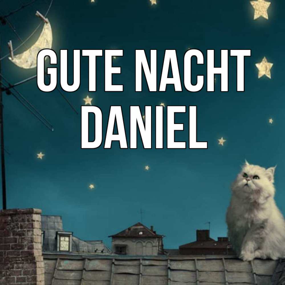 Открытка на каждый день с именем, Daniel Gute Nacht белый кот сидит на крыше Прикольная открытка с пожеланием онлайн скачать бесплатно 