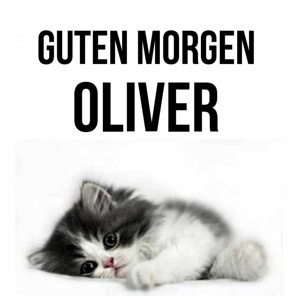 Открытка на каждый день с именем, Oliver Guten Morgen кот лапки Прикольная открытка с пожеланием онлайн скачать бесплатно 