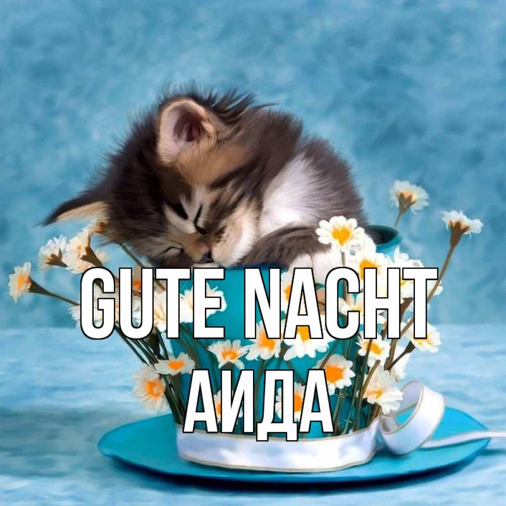 Открытка на каждый день с именем, Аида Gute Nacht котенок спит в кружке с блюдцем Прикольная открытка с пожеланием онлайн скачать бесплатно 