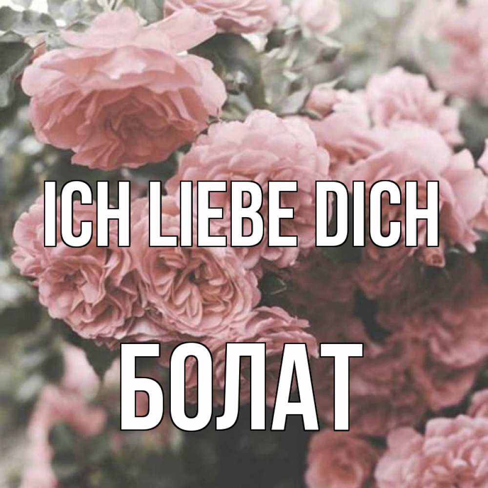 Открытка на каждый день с именем, Болат Ich liebe dich розы 3 Прикольная открытка с пожеланием онлайн скачать бесплатно 