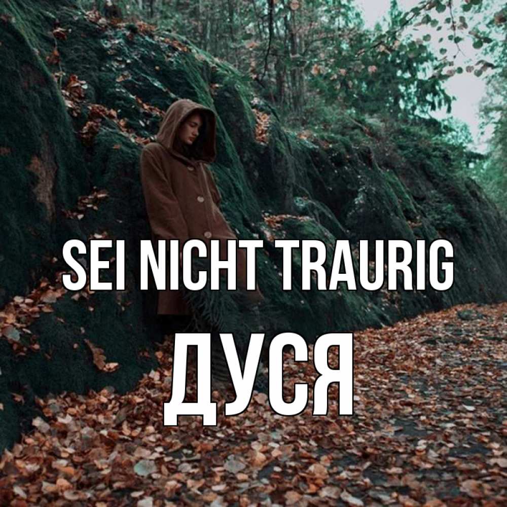 Открытка на каждый день с именем, Дуся Sei nicht traurig осенний лес Прикольная открытка с пожеланием онлайн скачать бесплатно 