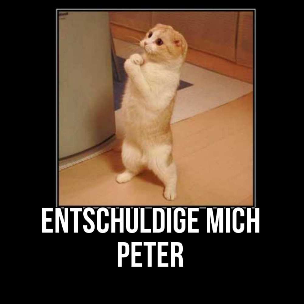 Открытка на каждый день с именем, Peter Entschuldige mich открытка с милым несчастным котиком просящим прощения Прикольная открытка с пожеланием онлайн скачать бесплатно 