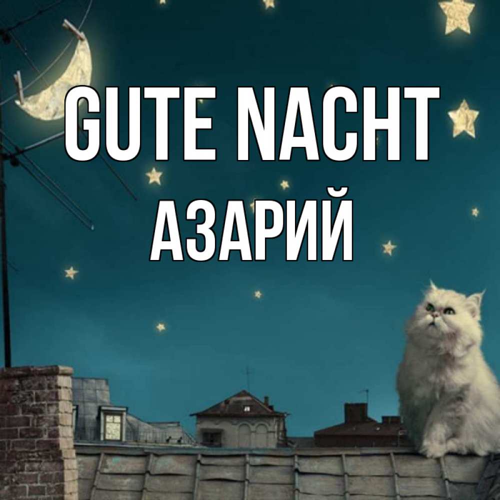Открытка на каждый день с именем, Азарий Gute Nacht белый кот сидит на крыше Прикольная открытка с пожеланием онлайн скачать бесплатно 