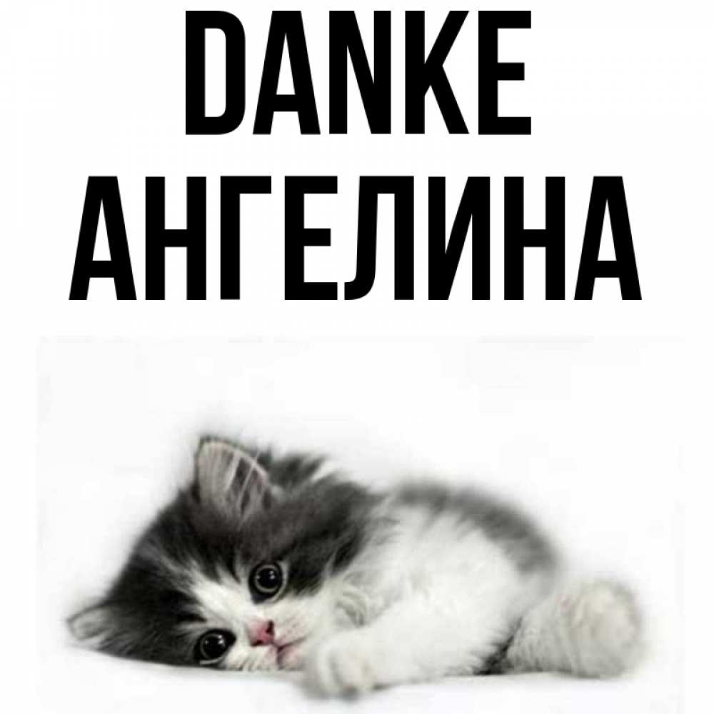 Открытка на каждый день с именем, Ангелина Danke черный и белый кот Прикольная открытка с пожеланием онлайн скачать бесплатно 