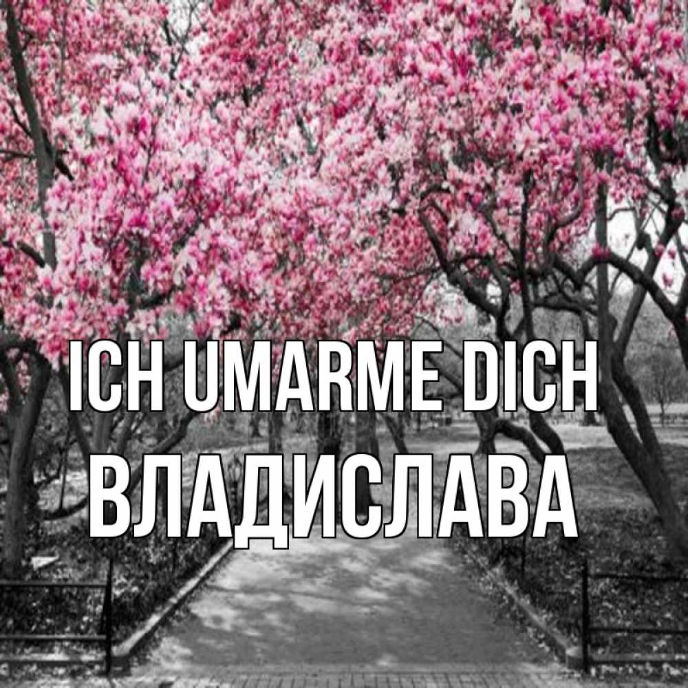 Открытка на каждый день с именем, Владислава Ich umarme dich обработанное фото Прикольная открытка с пожеланием онлайн скачать бесплатно 